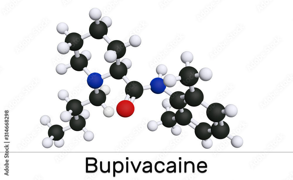 Bupivacaine molecule, is an amide-type, long-acting local anesthetic. Molecular model