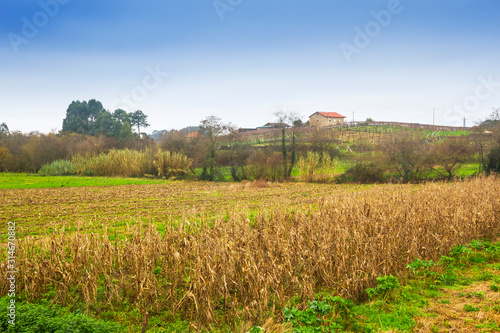 Farmlands and house