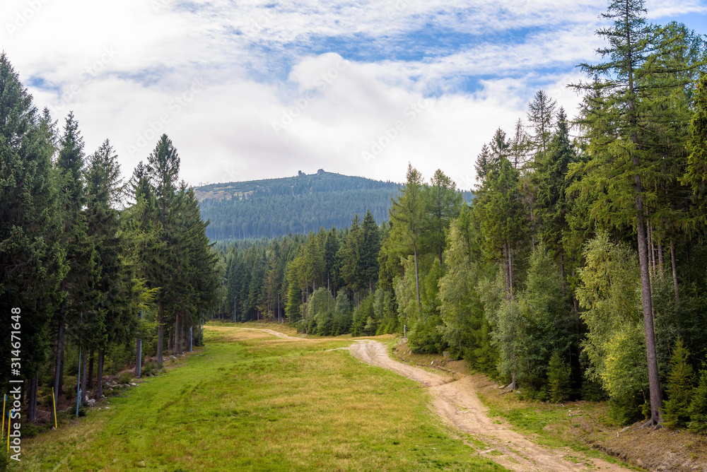 Summer view of forest path on slope of Szrenica Mountain