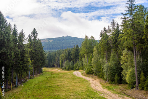 Fototapeta Naklejka Na Ścianę i Meble -  Summer view of forest path on slope of Szrenica Mountain