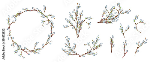 Backgrounds' set of realistic willow branches in spring  time with blooming fluffy buds. Wreath, bouquets, garland and isolated elements. Easter decor. Hand painted watercolor.
