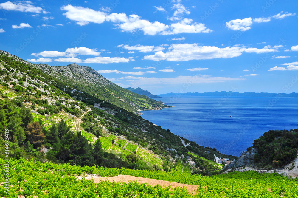 Green Landscape of Croatia blue sea sky, Peljesac