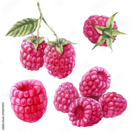 Handdrawing watercolor raspberry set isolated on white background with leaf and seed frontally side