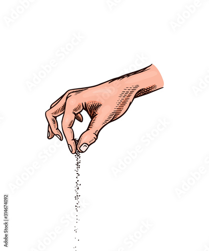 A cup of Sea salt. Spice in the hand. Powdered powder and bunch of seeds. Vintage background poster. Engraved hand drawn sketch. 