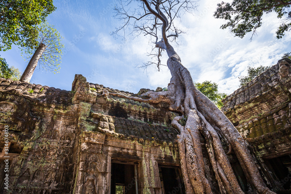 Obraz premium Ta Prohm, Angkor Wat, Cambodia