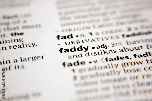Word or phrase faddy in a dictionary.
