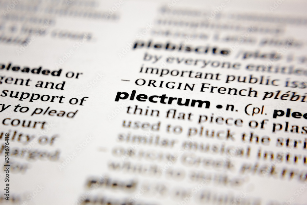 Word or phrase plectrum in a dictionary. Word or phrase plectrum in a dictionary.
