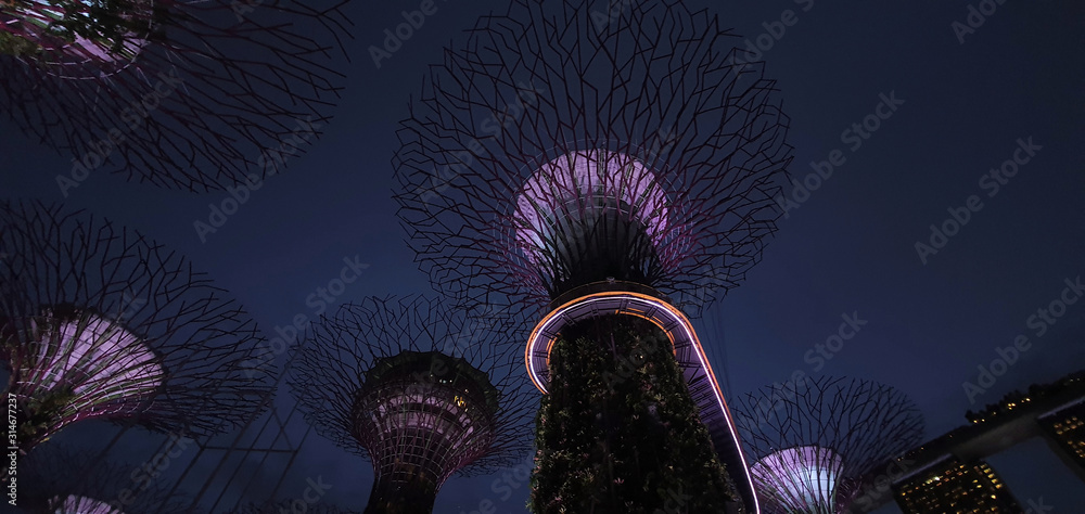 Gardens by the Bay Singapore Super Trees