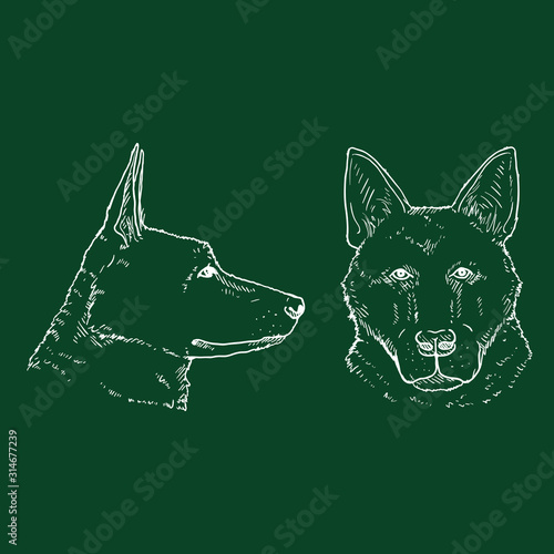 Chalk Sketch German Shepherd Dog Face