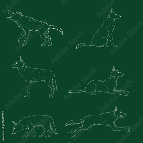 Vector Set of Chalk Sketch German Shepherd Dog Illustrations