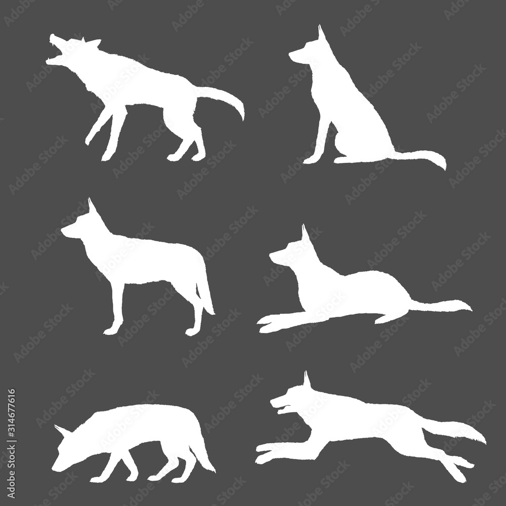 Vector Set of White Silhouette German Shepherd Dog Illustrations