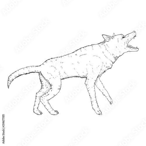 Vector Sketch Barking German Shepherd Dog