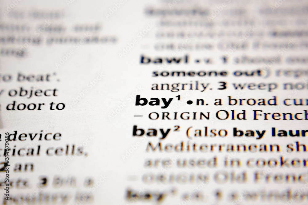 Word or phrase bay in a dictionary. Word or phrase bay in a dictionary.