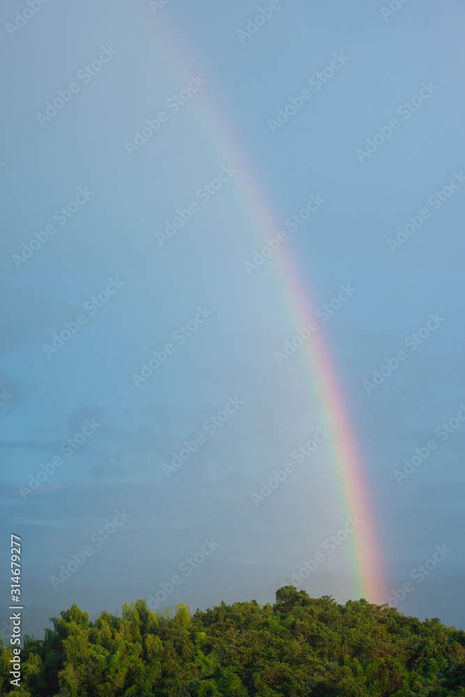 rainbow in rainy season over the forest on the mountain rainbow in rainy season over the forest on the mountain