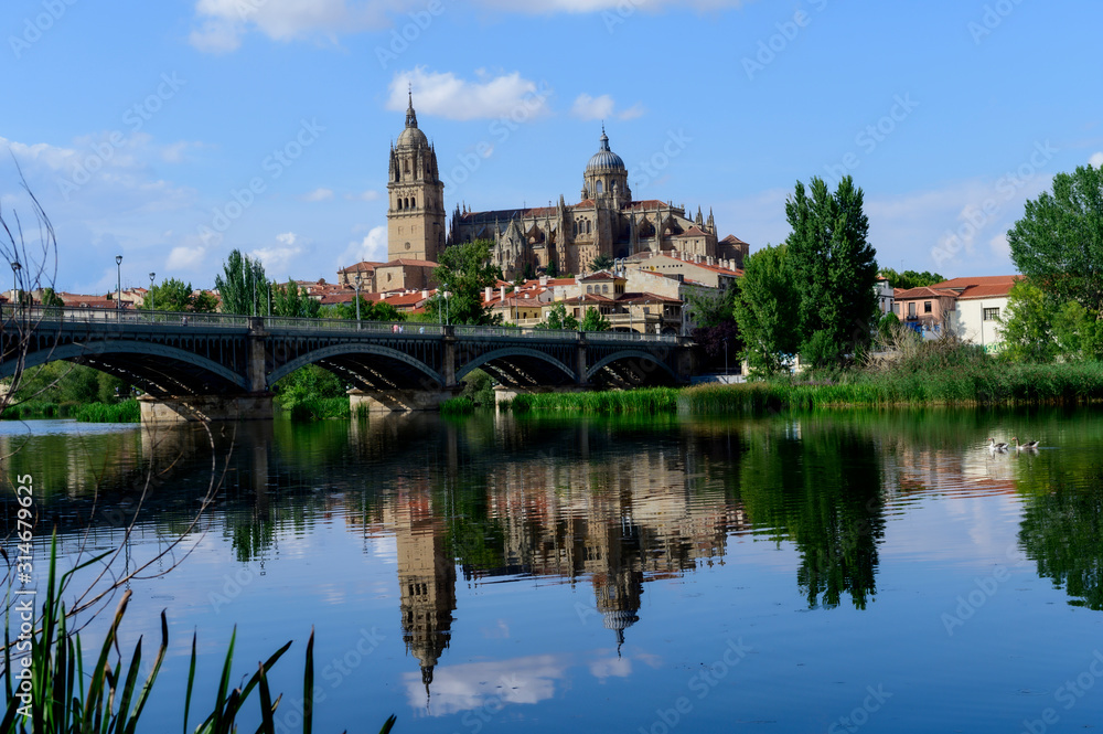 Panoramic view of the cathedral of Salamanca. Spain