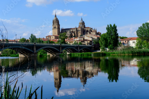 Panoramic view of the cathedral of Salamanca. Spain