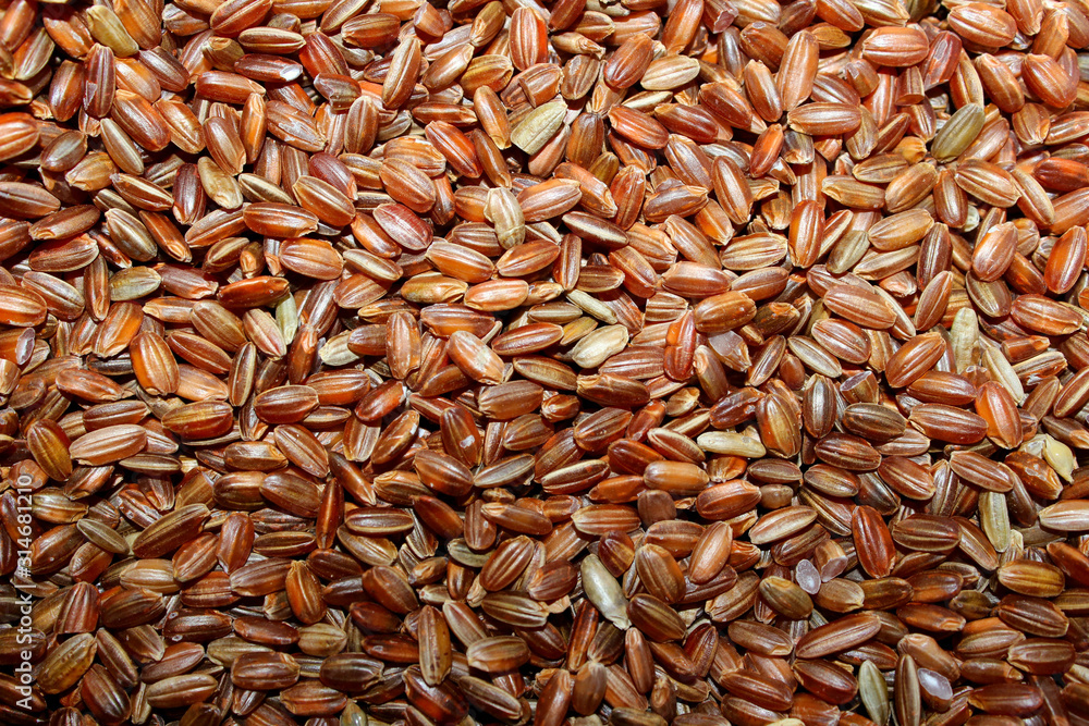 Cropped shot of uncoocked red rice background. Horizontal image of brown rice. Cropped shot of uncoocked red rice background. Horizontal image of brown rice.