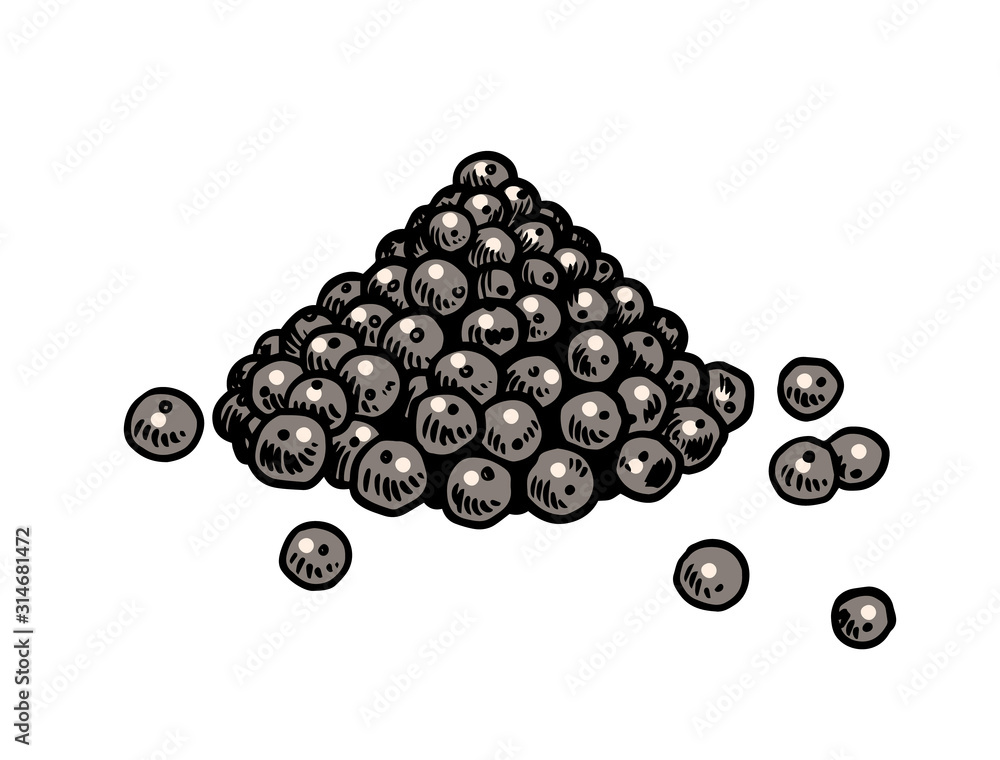 Fotografie Black pepper in Vintage style