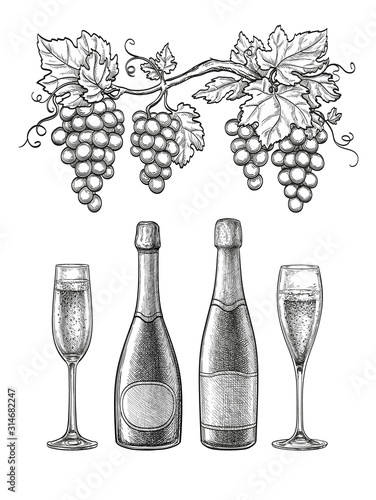 Champagne ink sketch set.