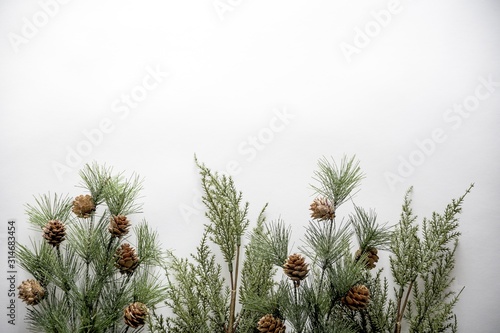 Fir branches with acorns on a white surface with space for a text Fotobehang