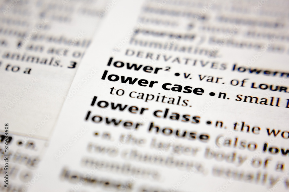 Fototapeta premium Word or phrase lower case in a dictionary.