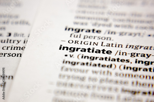 Word or phrase ingratiate in a dictionary. photo