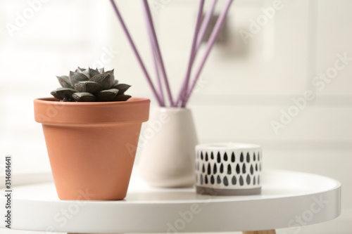 Beautiful succulent on white table, space for text. Home plant