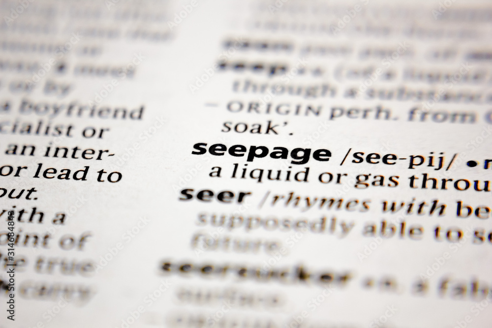 Word or phrase seepage in a dictionary. Word or phrase seepage in a dictionary.