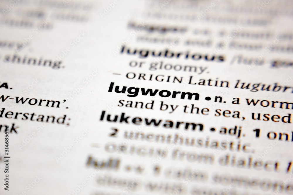 Word or phrase lugworm in a dictionary. Word or phrase lugworm in a dictionary.