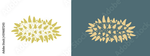 Sea cucumber logo. Isolated sea cucumber on white background. Trepang