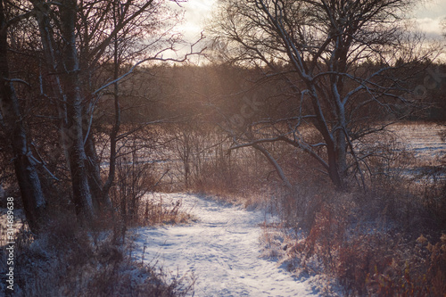 Winter road in the snow between trees on a sunny frosty day.