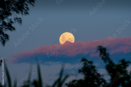 Full moon and trees during sunset at Campeche beach in Florianopolis Brazil