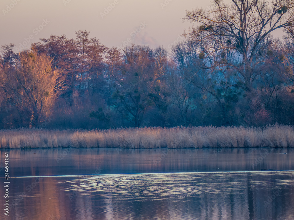Fototapeta premium Der Aalkistensee bei Maulbronn im Winter