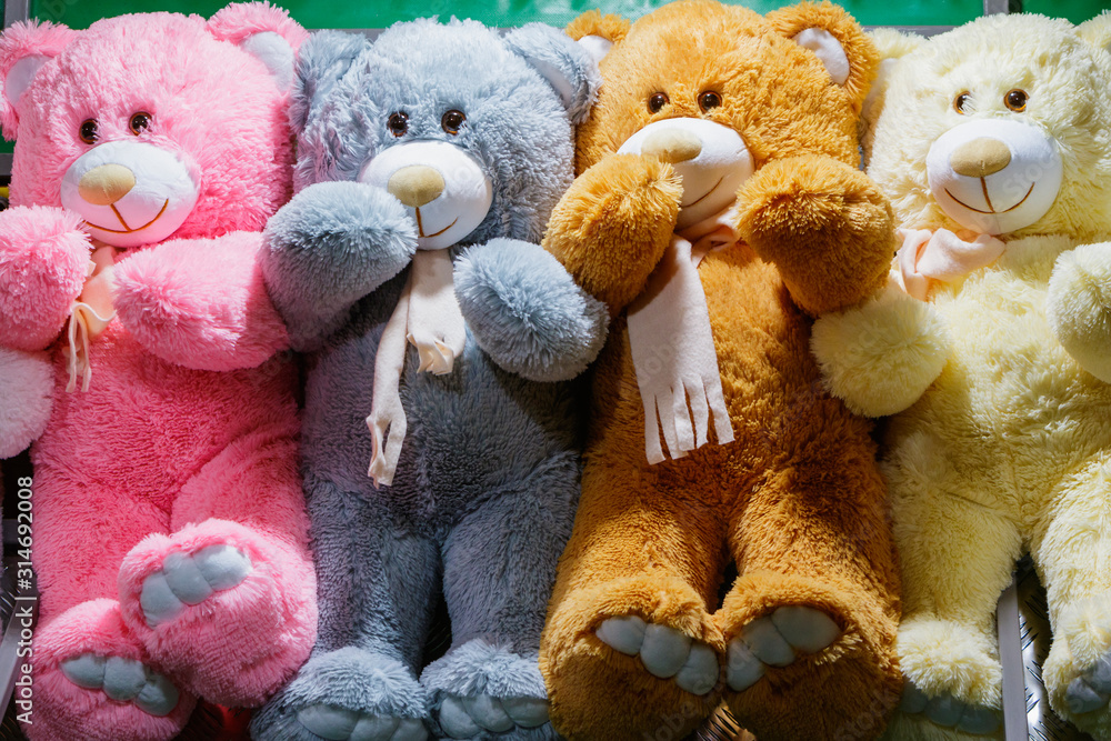 Different color beautiful teddy bears. Stock Photo Adobe Stock