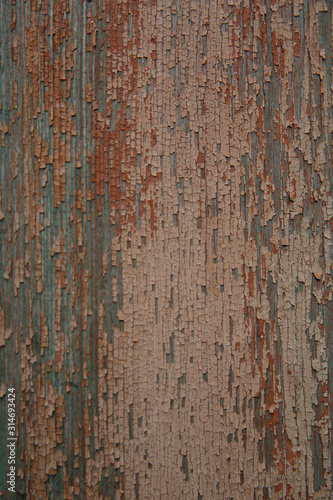 background texture of old natural wooden boards with old multicolor paint with scuffs. Vintage background, pattern, banner. Vertical photo.