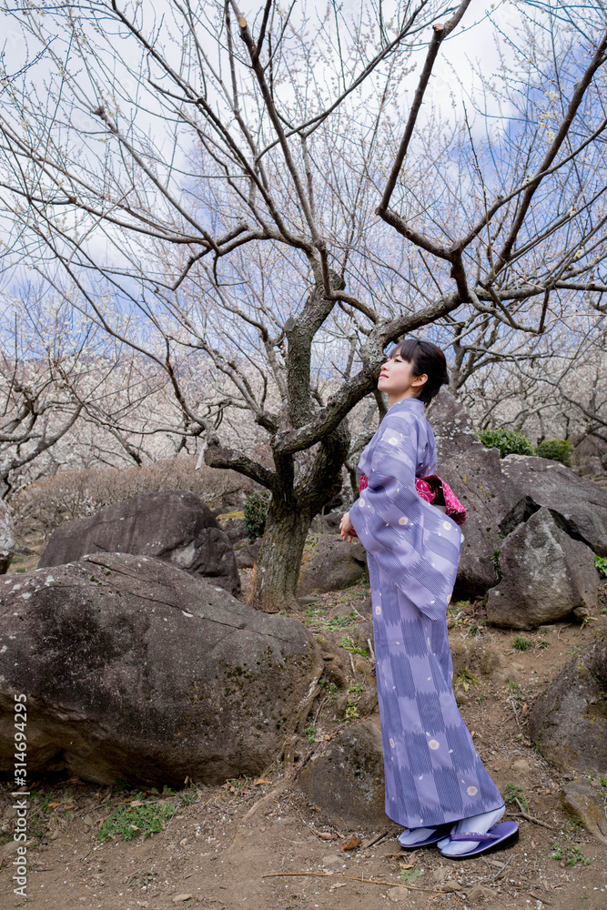 着物の女性 着物の女性
