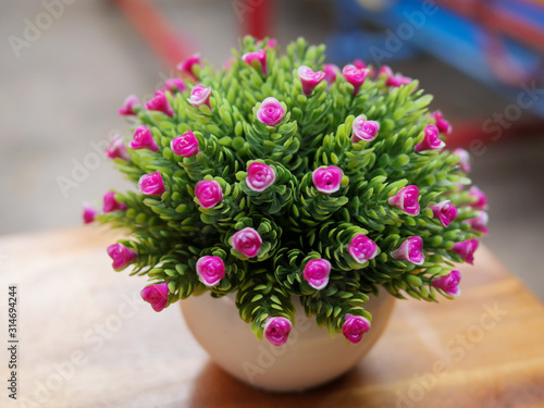 Pink flower model in a small pot © zHepHirotHz