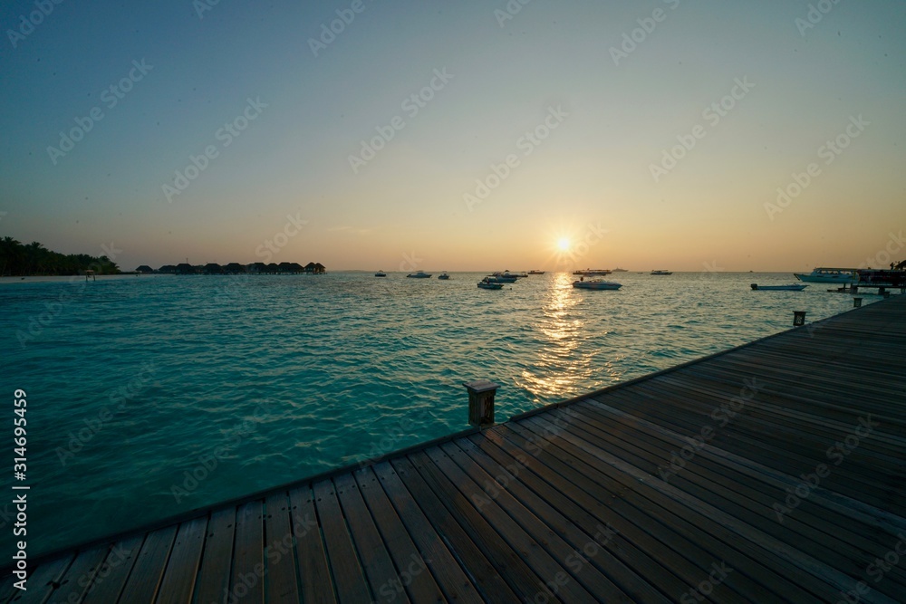 Obraz premium kani 2018