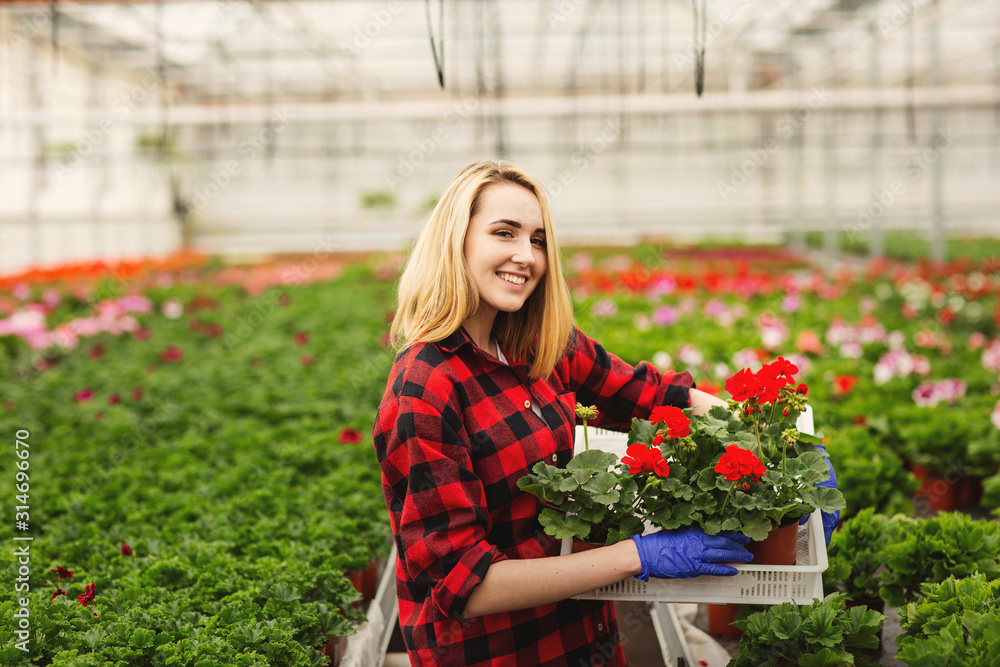 Female florist holding flower pot in greenhouse. Concept of gardering Female florist holding flower pot in greenhouse. Concept of gardering