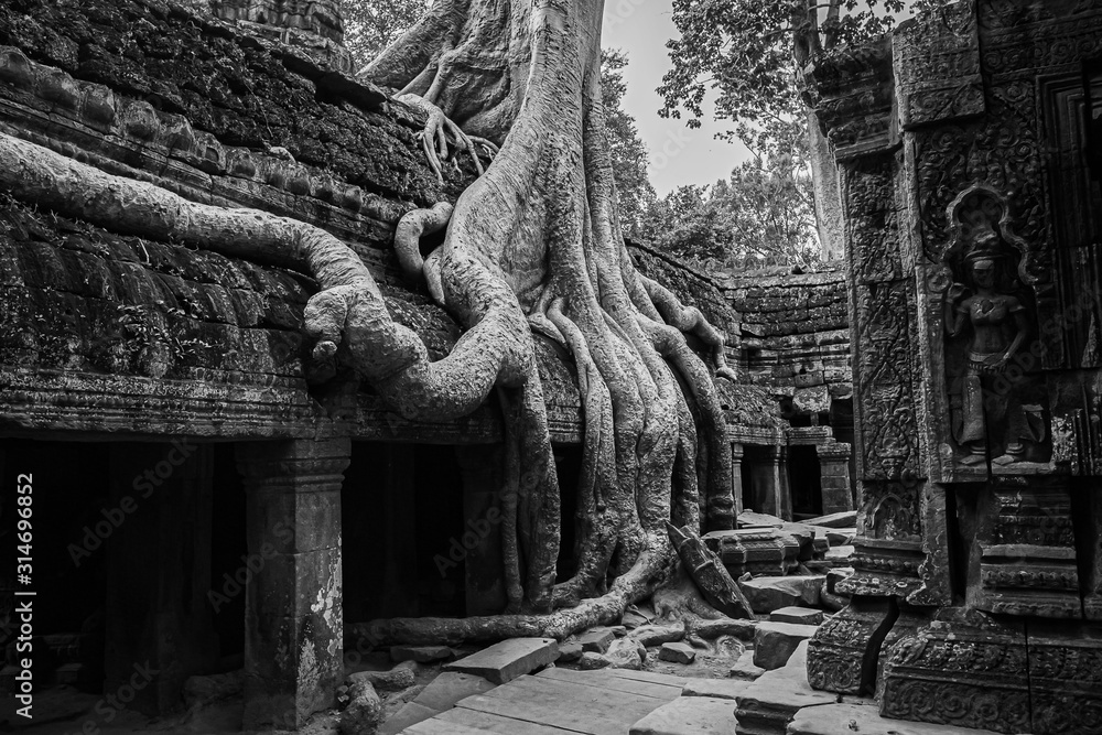 Temples of Angkor Wat  where the jungle has partially overgrown the ruins near the city of Siem Reap in Cambodia