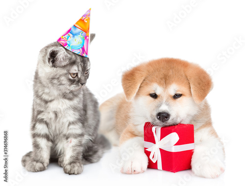 Cat wearing a birthday hat sits with akita inu puppy who is hugs a gift box. isolated on white background