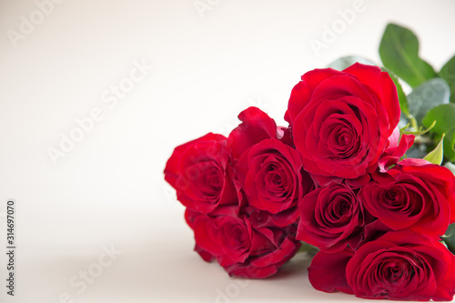 Red roses on white background. Valentines Day background  wedding day