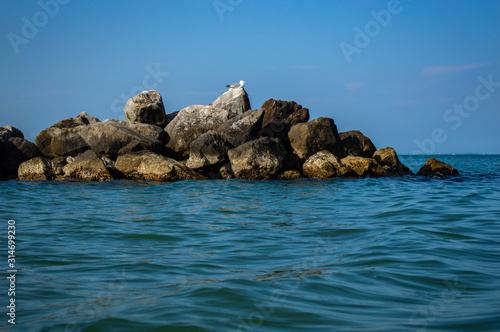 Big stones in the sea and a seagull sits on them