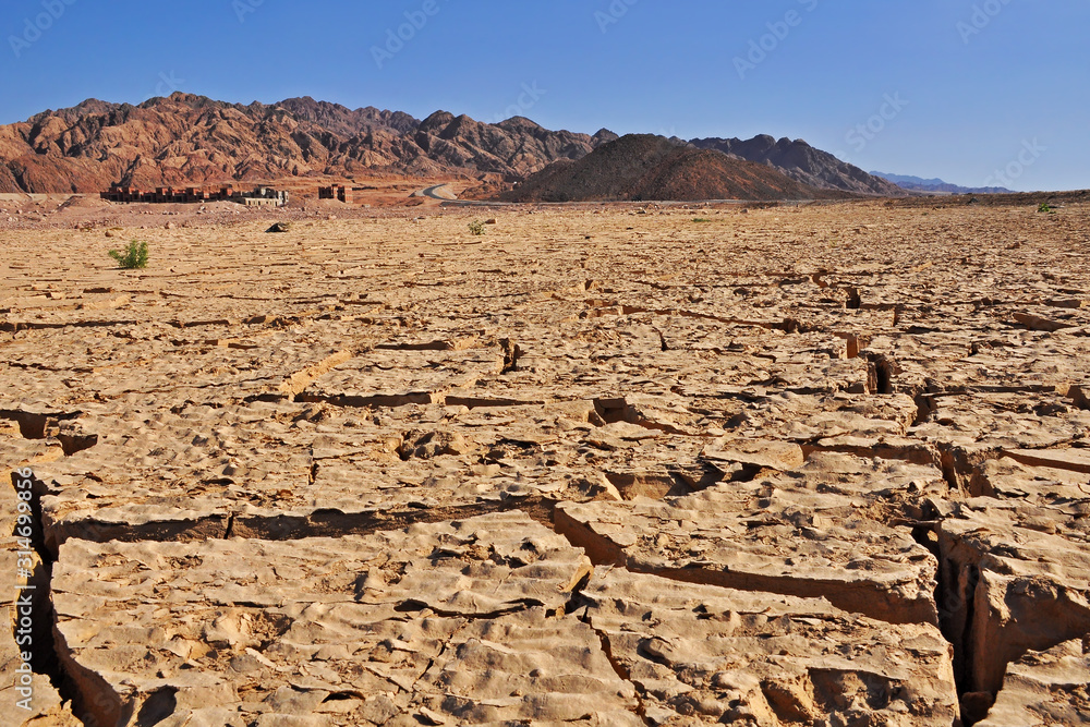 Desert. Cracks on dry ground. Wilderness, Egypt.