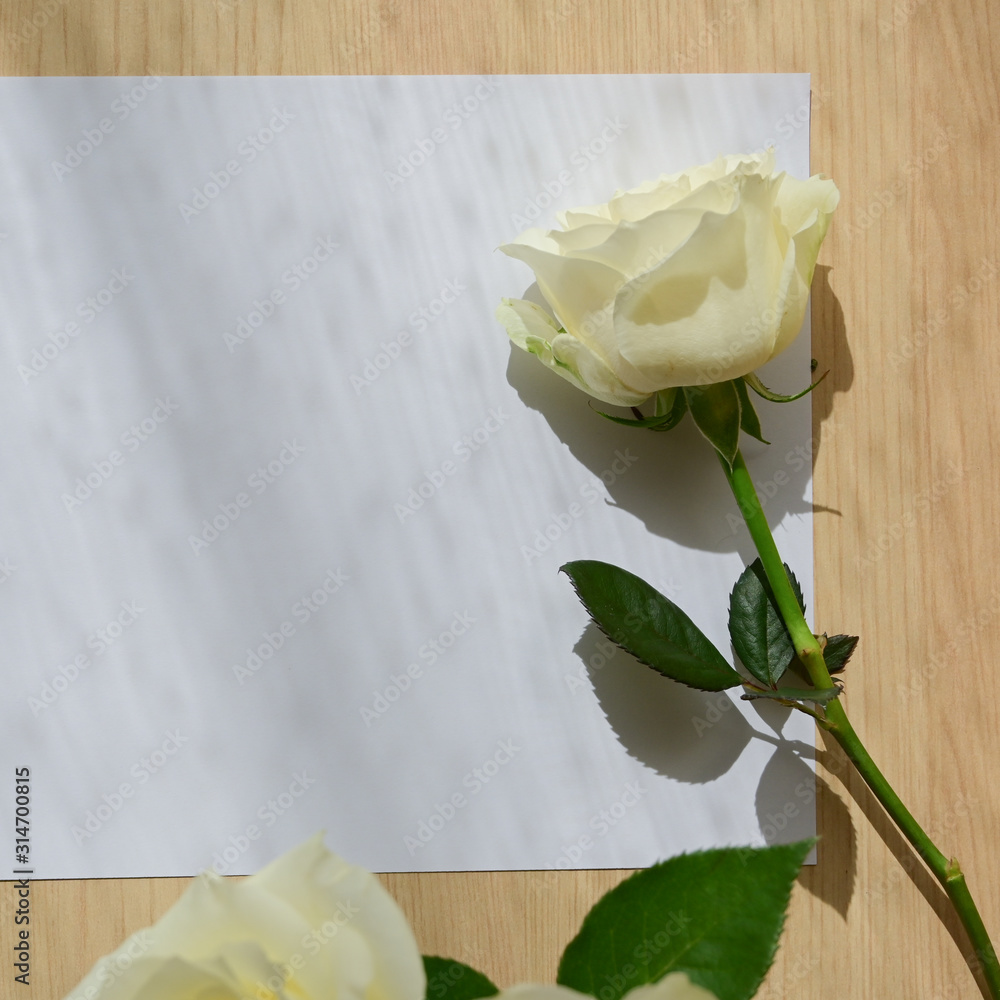 Fototapeta premium empty blank paper letter note and white rose on wood table with window light in the morning day