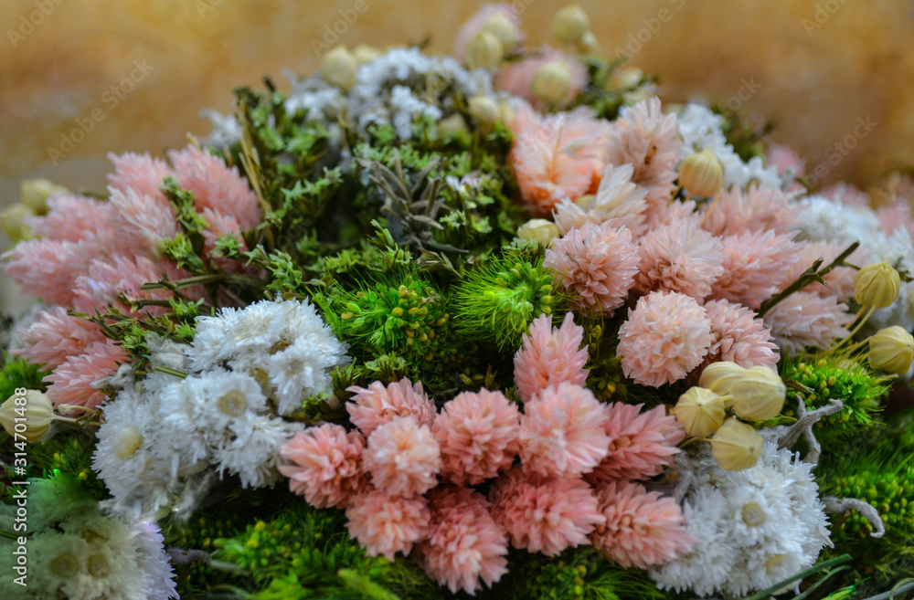 Close-up of a bouquet of fresh flowers, pastel colors-green, pink, white. Non-allergenic, dry flowers, always alive. Delicate floral background. Selective focus Close-up of a bouquet of fresh flowers, pastel colors-green, pink, white. Non-allergenic, dry flowers, always alive. Delicate floral background. Selective focus