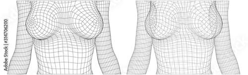 set of vector 3d female bodies, thin line style