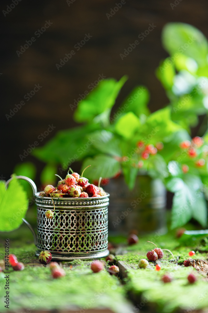 Berries from the forest. Bone and strawberry berries on old wooden background with moss
