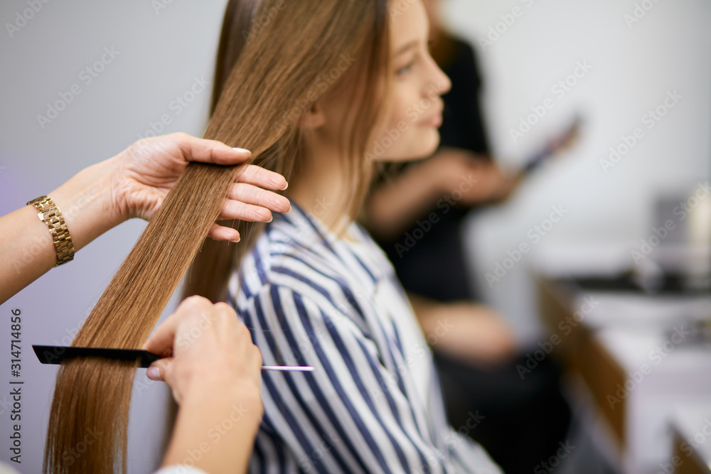 Fototapeta premium closeup of hairdresser combing client's hair, young caucasian girl with long hair came in beauty salon for combing hair made by professional hairdresser