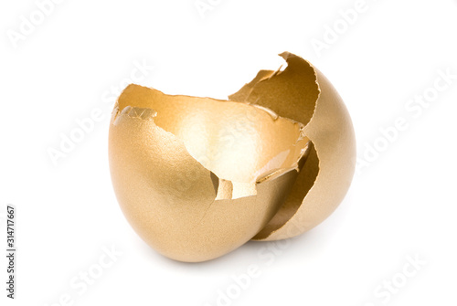 Obraz na plátně Broken golden egg